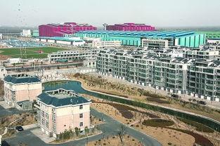 西王村头条,聚焦乡村发展新篇章